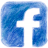 Become a fan on Facebook